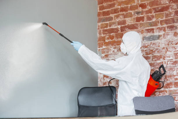 Best Asbestos and Lead Testing During Mold Inspection  in Pacific City, OR