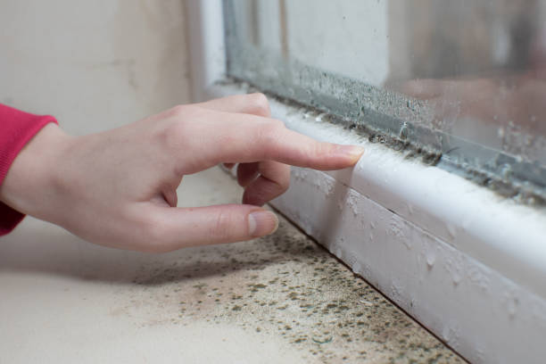 Best Air Quality Testing for Mold Spores  in Pacific City, OR