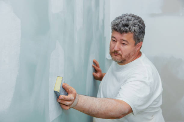 Trusted Pacific City, OR Mold Removal Experts